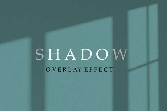 Shadow overlay effect. Transparent soft light and shadows. Mockup of transparent window shadow overlay effect and natural lightning. Vector mock up gradient mesh
