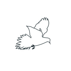 Mourning dove line art stock illustration 
