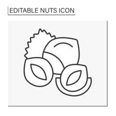  Hazelnut line icon. Balanced nutrition. Nuts in conjunction with chocolate to make desserts.Balanced nutrition. Nuts concept. Isolated vector illustration. Editable stroke