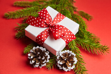 Gift box with green Christmas tree branch on red