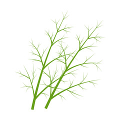 Dill icon on white background