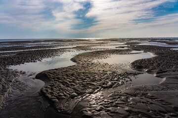 low tide in the Wadden Sea