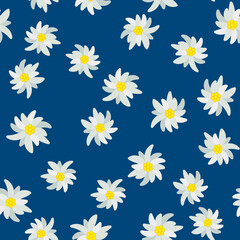 Seamless pattern with edelweiss flower on white background