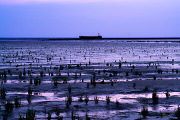 Wadden Sea in the evening with a ship