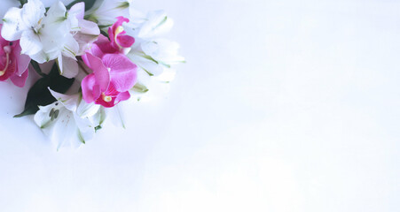 White alstroemeria and pink orchids on a white background. A festive bouquet. Background for greeting cards, invitations, greetings.