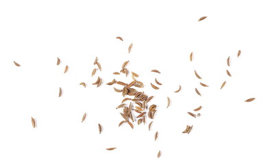 Pile of cumin, caraway seeds isolated on white background, top view - obrazy, fototapety, plakaty