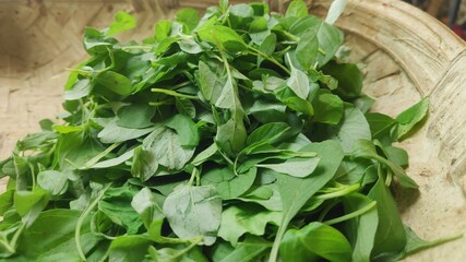 fresh Green spinach leaves