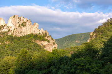 Steep Seneca Rocks cliff surrounded by lush green forest at Monongahela National Forest