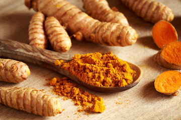 Ground turmeric powder on a spoon with fresh turmeric root