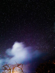 starry night sky