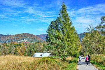 Back view of group  hikers  walking along a foot trail on a autumn trip.
 Trekking in Low Beskids (Beskid Niski), Poland - obrazy, fototapety, plakaty