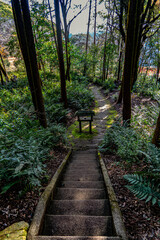 小牧山吉五郎稲荷石段と参道