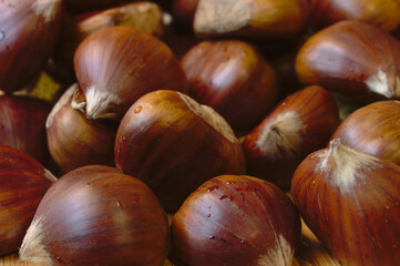 chestnuts close up