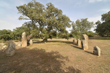 The Pranu Muttedu  -  one of the largest nuraghes in Sardinia.