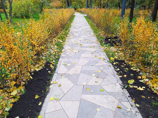 Fototapeta na wymiar The path in the park is made of asphalt stone blocks, symmetrical shrubs on both sides of the road. Autumn is time, leaf fall. Element of decor, landscape design