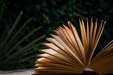 A fanned out book against a green background in the sunlight