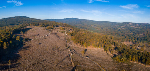 Luftaufnahme mit Drohne vom Waldsterben im Taunus durch den Borkenkäfer und Klimawandel in der...