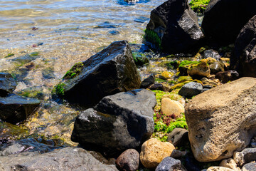 Stony shore of the Black  sea in Bulgaria