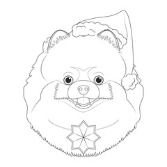 Christmas greeting card for coloring. Pomeranian dog with Santa's hat and a Christmas ornament
