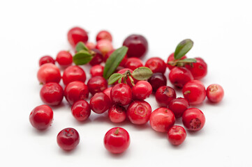 red cranberries isolated on white background