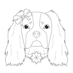 Christmas greeting card for coloring. Cavalier King Charles Spaniel dog with a bow and a Christmas ornament