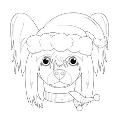 Christmas greeting card for coloring. Chinese Crested Dog with Santa´s hat and a woolen scarf for winter