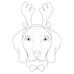Christmas greeting card for coloring. Weimaraner dog with reindeer horns and bow tie