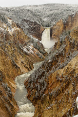 Grand Canyon of the Yellowstone