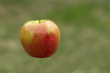 Red and yellow apple in the air