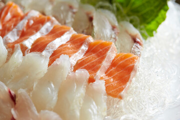 Raw salmon and sea bream sashimi 