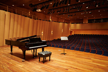 grand piano in concert hall - obrazy, fototapety, plakaty