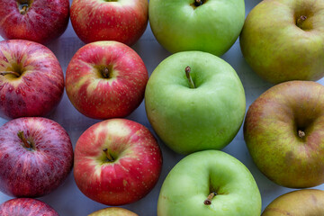 red and green apples, assortment in vertical rows