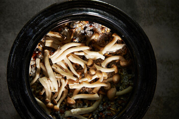 Mushroom stone pot rice on dark background