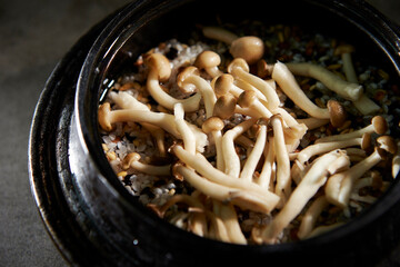 Mushroom stone pot rice on dark background