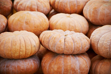 Pumpkins on display in a traditional market