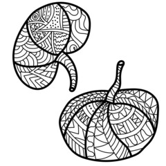 Two small pumpkins with fantasy patterns, ornate coloring page for Thanksgiving or Halloween
