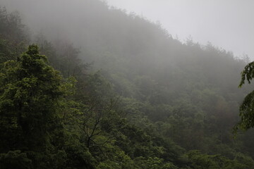 Fototapeta na wymiar Misty landscape