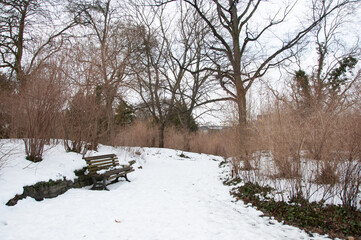 winter in the park