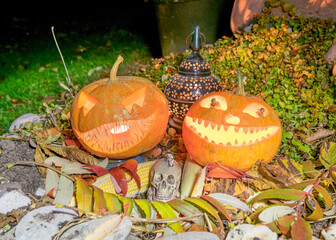 halloween composition with smiling pumpkins and halloween accessories, corn cobs, skull and lanterns, carved pumpkin