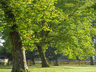 Naklejka premium Herbst am Schloß Im Münsterland