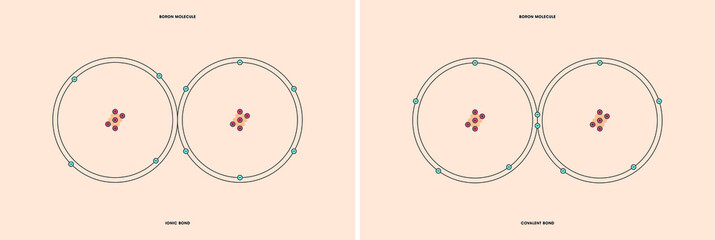 Naklejka premium Conceptual vector representation of a boron molecule, made up of two atoms, and the types of chemical bonds: covalent, atoms sharing electrons, and ionic, an atom gives an electron to another atom. 