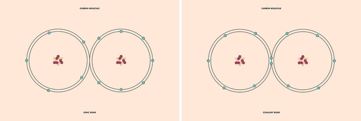 Naklejka premium Conceptual vector representation of a carbon molecule, made up of two atoms, and the types of chemical bonds: covalent, atoms sharing electrons, and ionic, an atom gives an electron to another atom. 