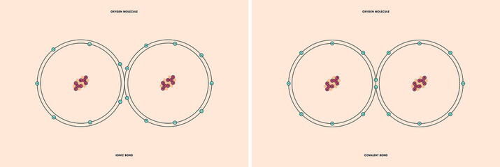 Naklejka premium Conceptual vector representation of a oxygen molecule, made up of two atoms, and the types of chemical bonds: covalent, atoms sharing electrons, and ionic, an atom gives an electron to another atom. 