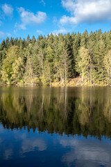 Fototapeta premium Scandinavian lake in spruce forest