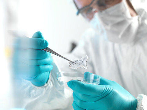 Forensic scientist examining fragments of paper in a laboratory