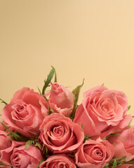 Bouquet of pink roses on a peach background. macro. view from above. card