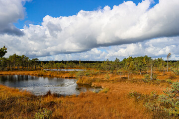 Obraz premium Natural landscape with bog lakes and beautiful cloudy skies