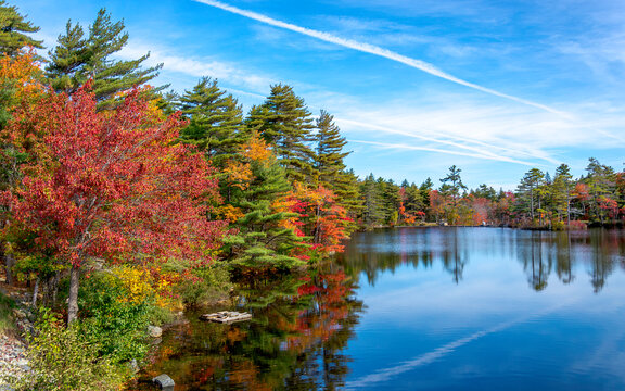  Autumn foliage colors reflect into the still waters of a lake in rural Nova Scotia on an early sunny day in autumn.