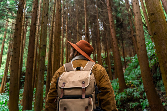 Man standing in forest surrounded by trees, Sao Miguel Island, Azores, Portugal