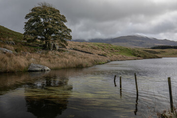 Llyn Dywarchen, Snowdonia, North Wales